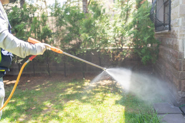 Reliable Colonial Beach, VA Pest control Solutions